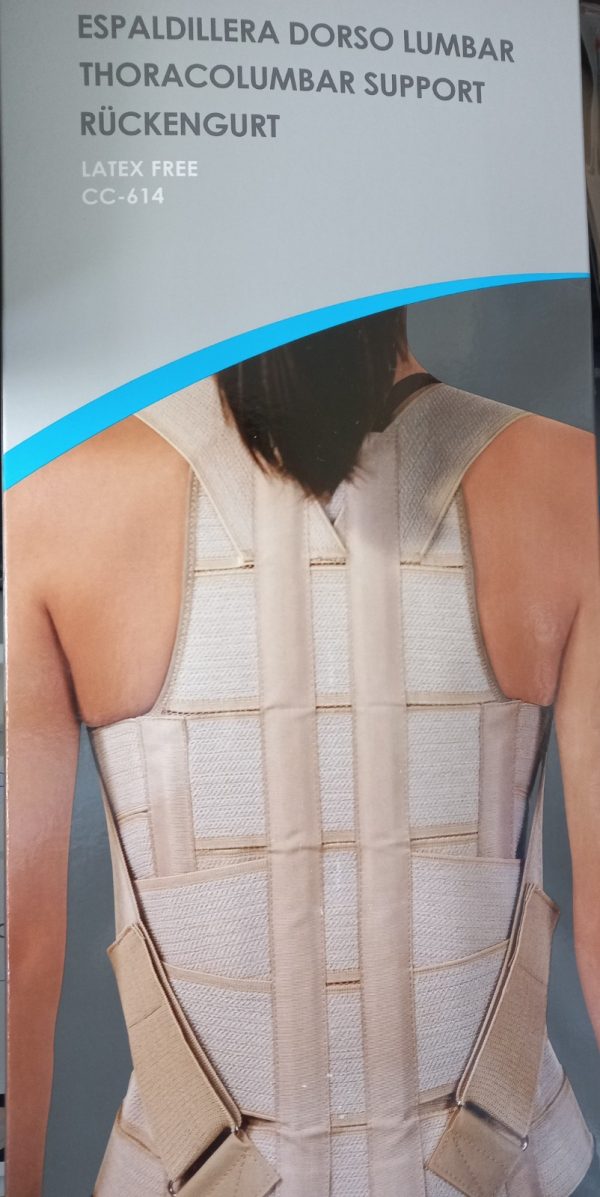 Faja lumbosacral